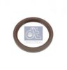 DT 3.60123 Shaft Seal, wheel bearing
